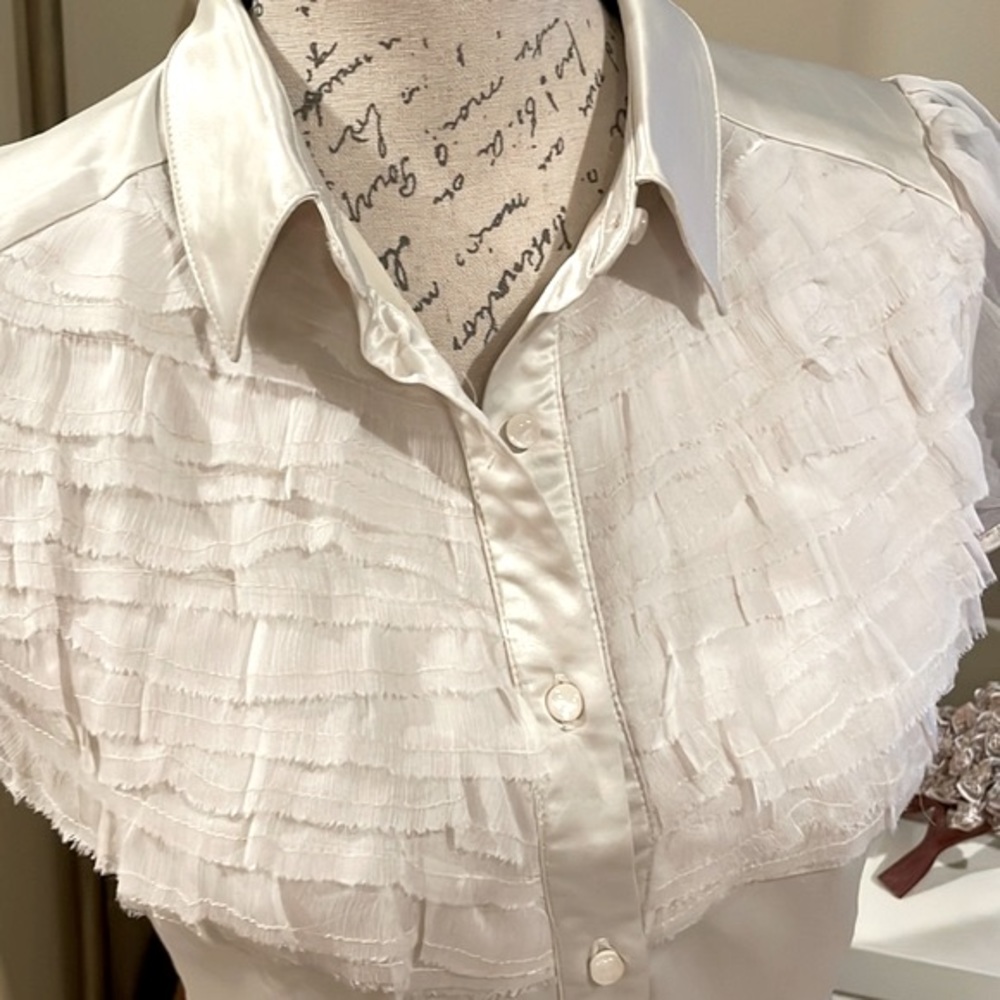 Surrealist Ruffle Front Blouse - Picture 4 of 11